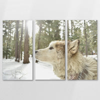 AL-150R100