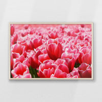 PN-093W062