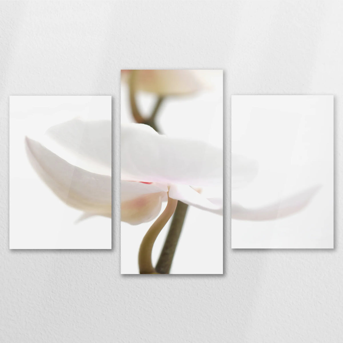 AC-120T080