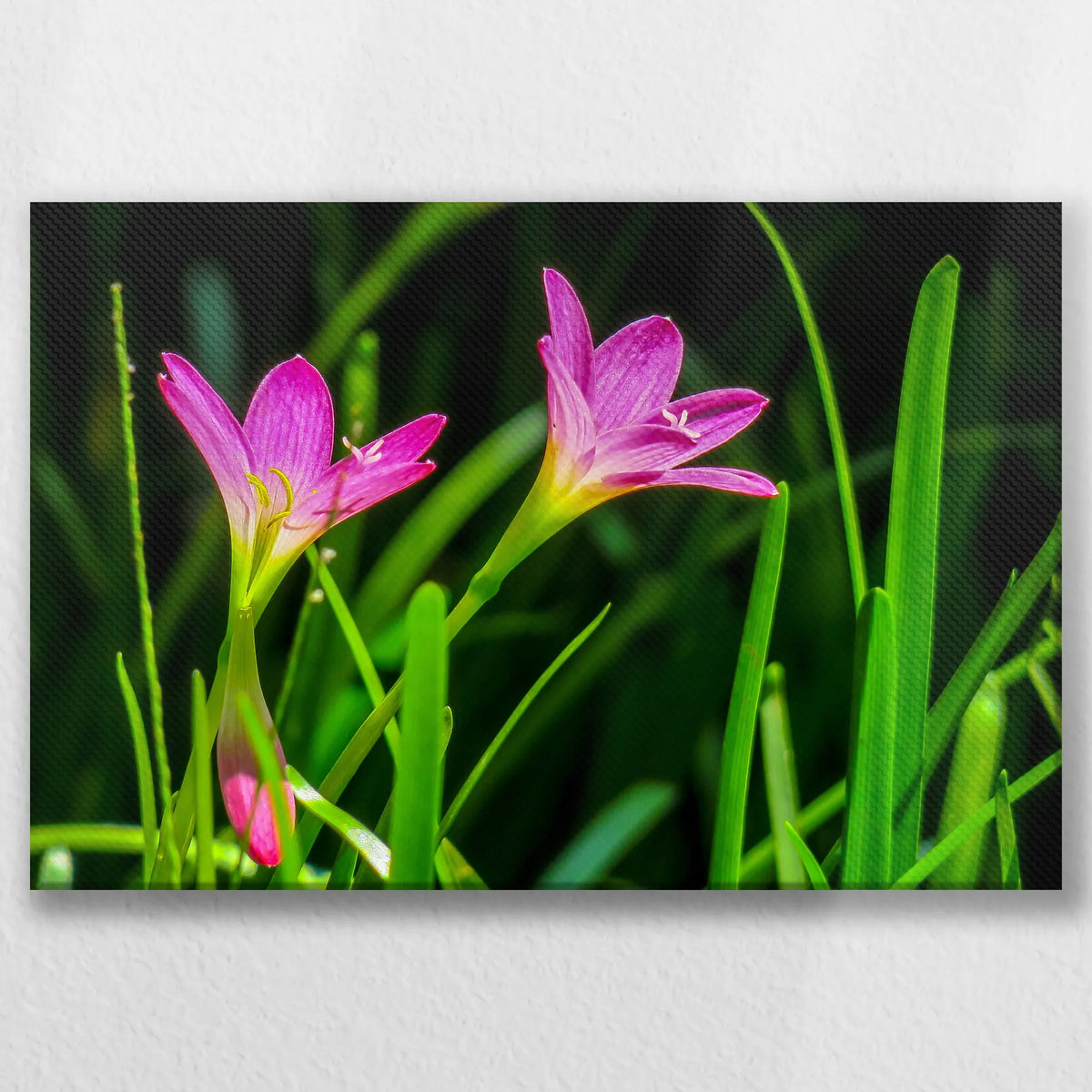LW-030W020