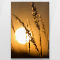 LW-080W120