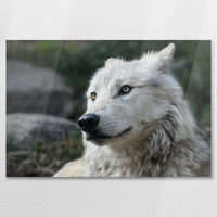 AC-090W060