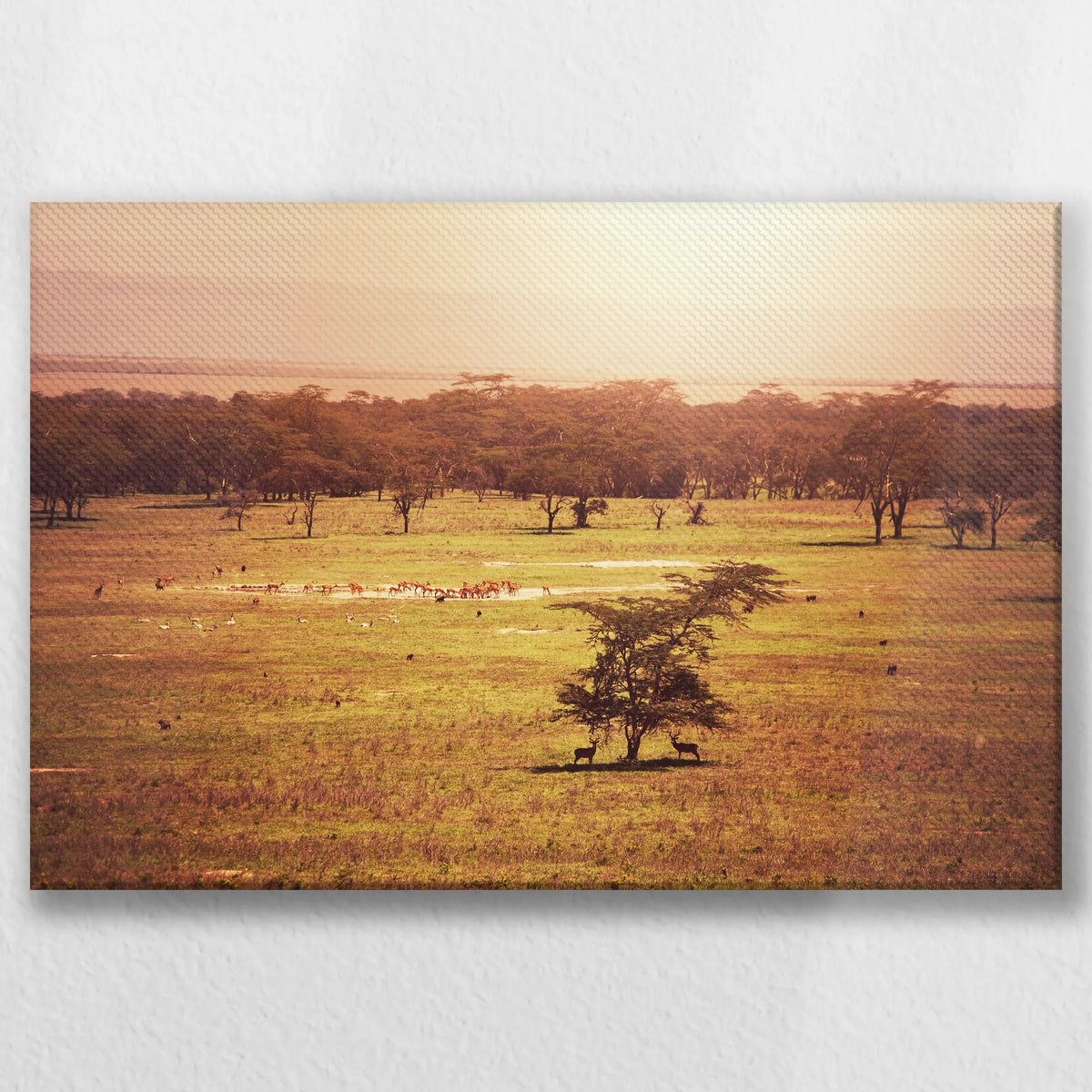 LW-030W020