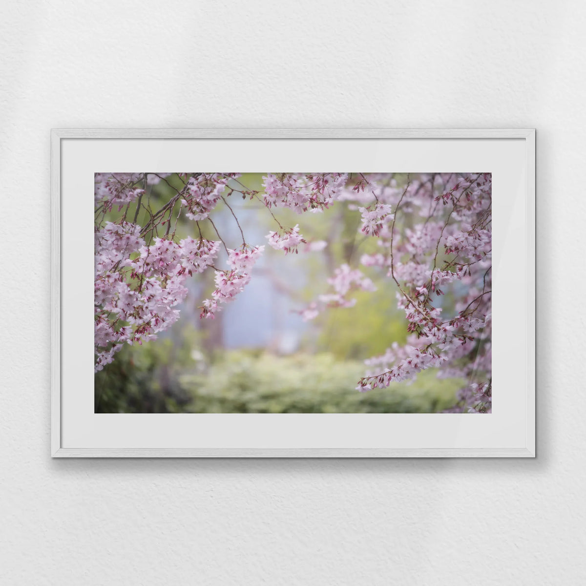 PWP093W062