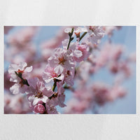 PO-060W040