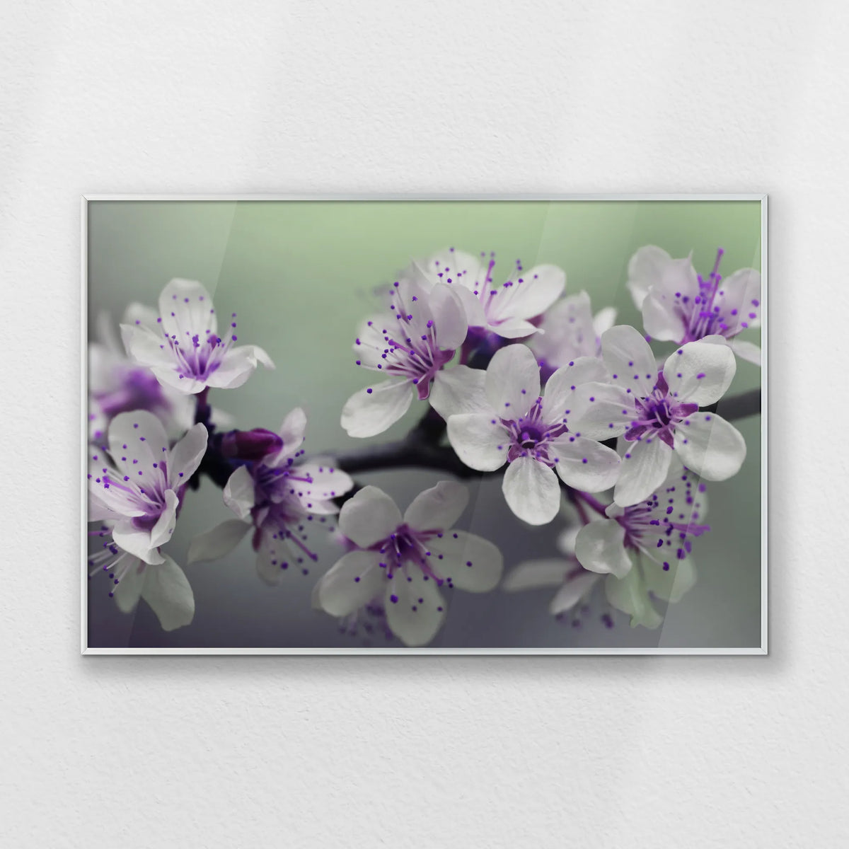 PS-093W062