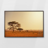 LWN120W080