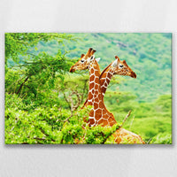 LW-075W050