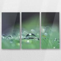 AL-060R040