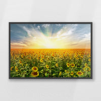 PK-093W062