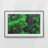 PBP093W062