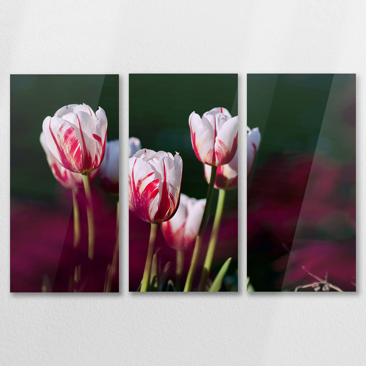 AC-090R060