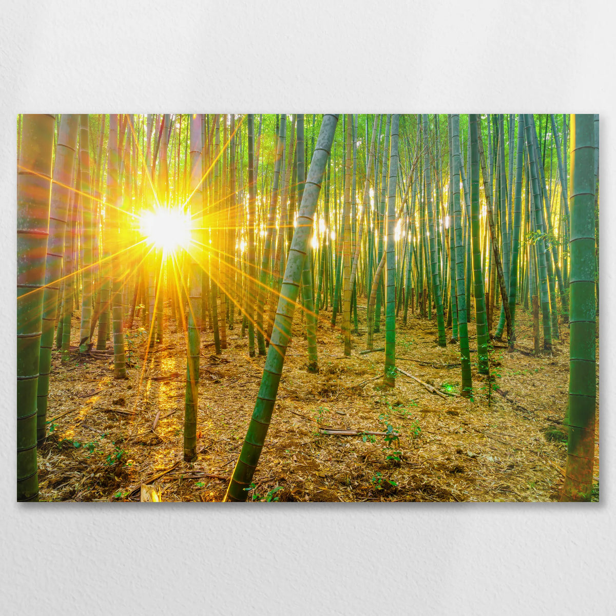 AL-075W050