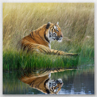 AC-040W040