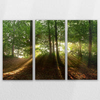 LW-150R100