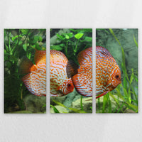 LW-210R140