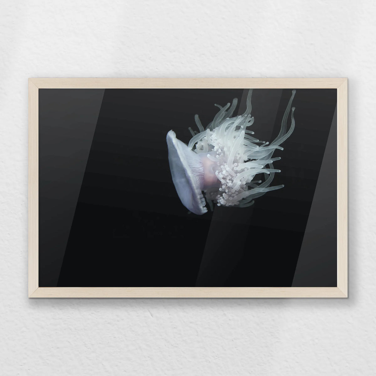 PN-060W040