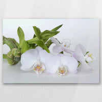 AL-045W030
