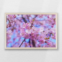 PN-060W040