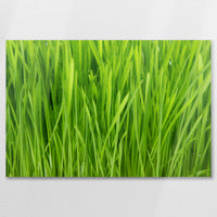 AC-090W060