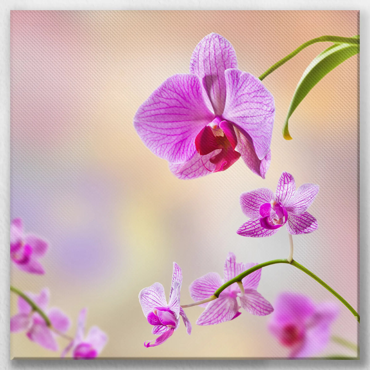 LW-040W040