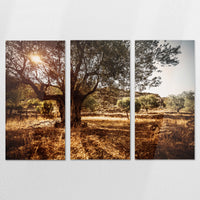 AC-180R120