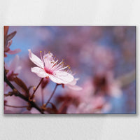 LW-090W060