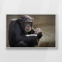 LWW120W080