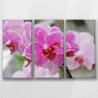 LW-060R040