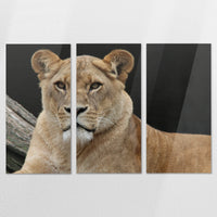 AC-180R120
