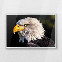 PS-060W040