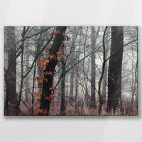 LW-045W030