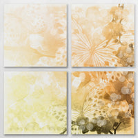 AC-080V080