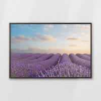 LWN120W080