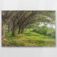 AC-060W040