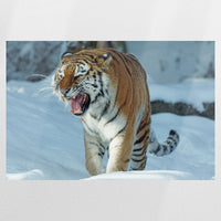 PO-120W080