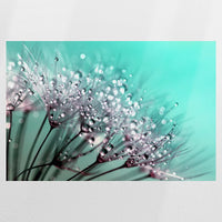 PO-090W060