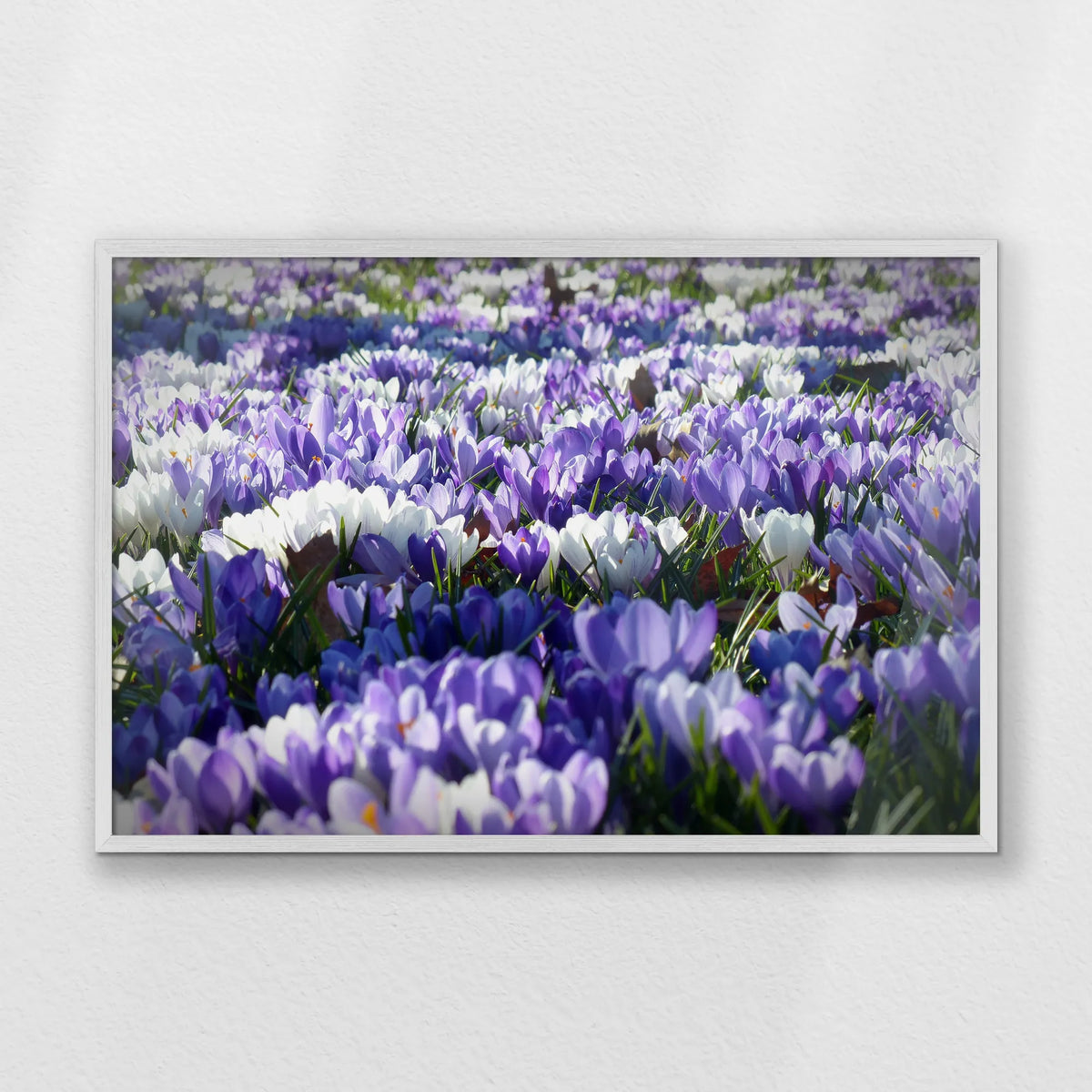 PW-093W062