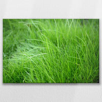 LW-075W050