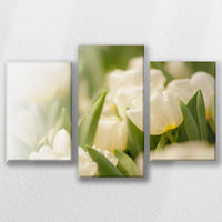 LW-060T040
