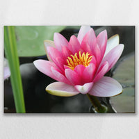 LW-075W050