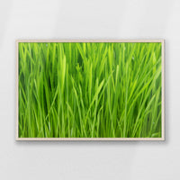 PN-093W062