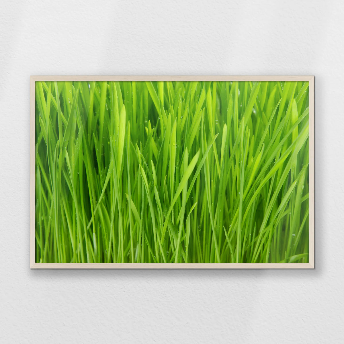 PN-093W062