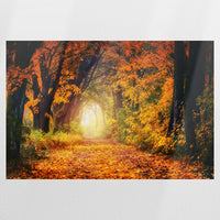 PO-075W050