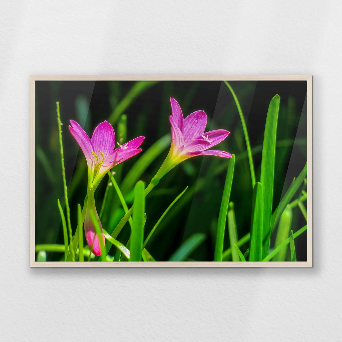 PN-093W062