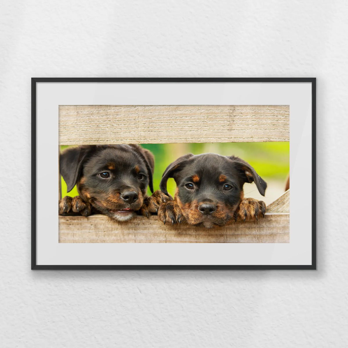 PBP060W040