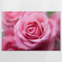 AL-120W080