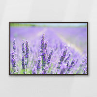 LWN120W080