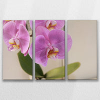 LW-090R060