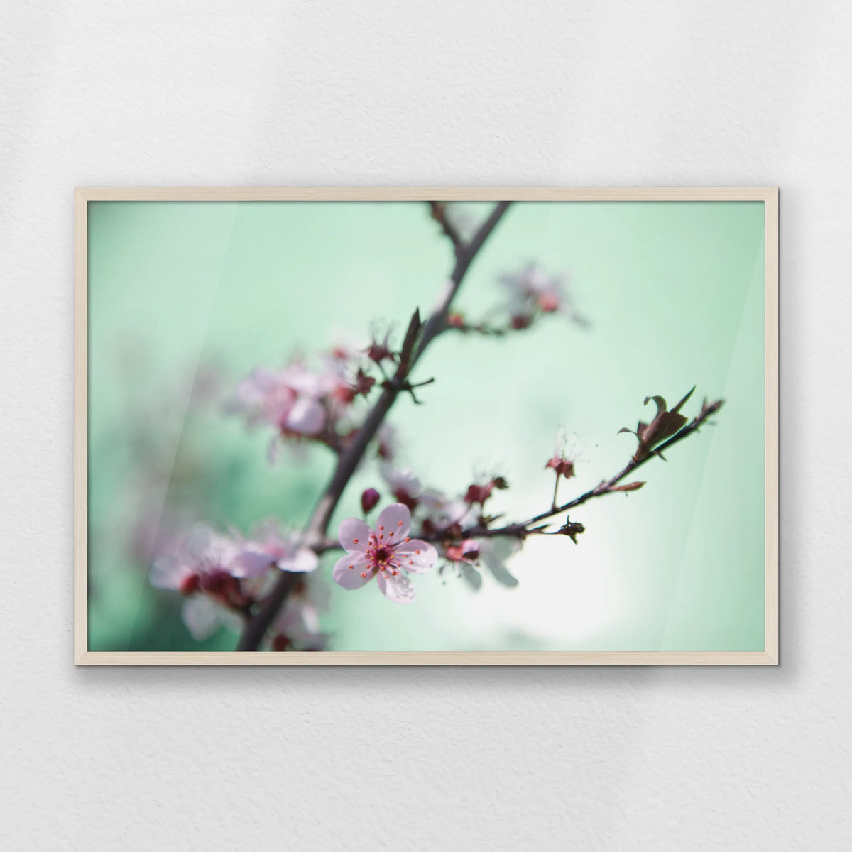 PN-093W062